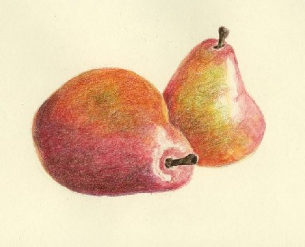 The pears with further dry layers over the dried wash, adding richer reds and yellows plus violet in the shadows and touches of olive green