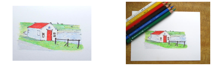 Albrecht Durer Magnus colour test, shown dry on the left and after water on the right