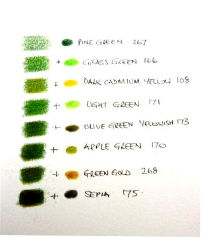 Coloured pencil layering chart showing several colours built over a green foundation