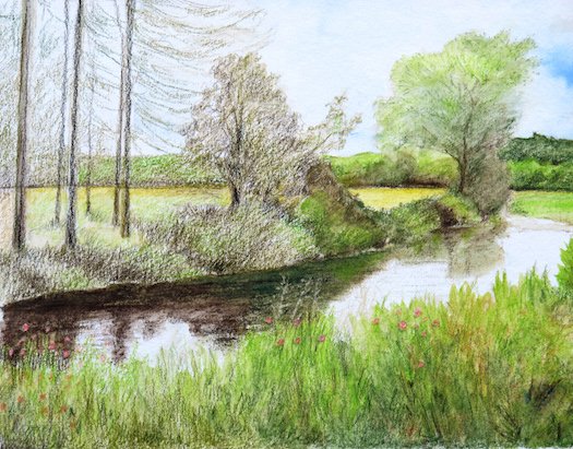 Dry pencil work building up the pine trees on the left