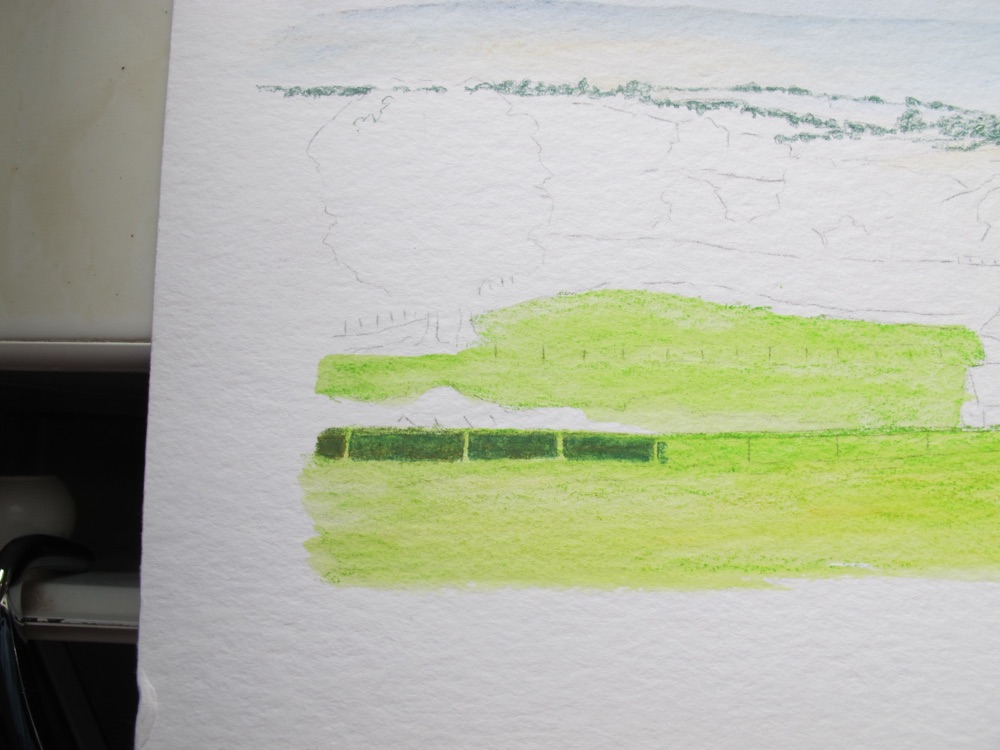 Close-up of light fence posts held against a dark hedge in watercolour pencil