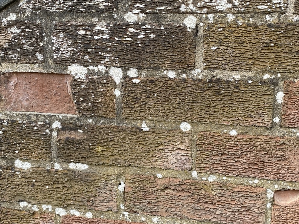 Weathered brick wall with deep-set mortar lines casting shadow, lichen across the faces