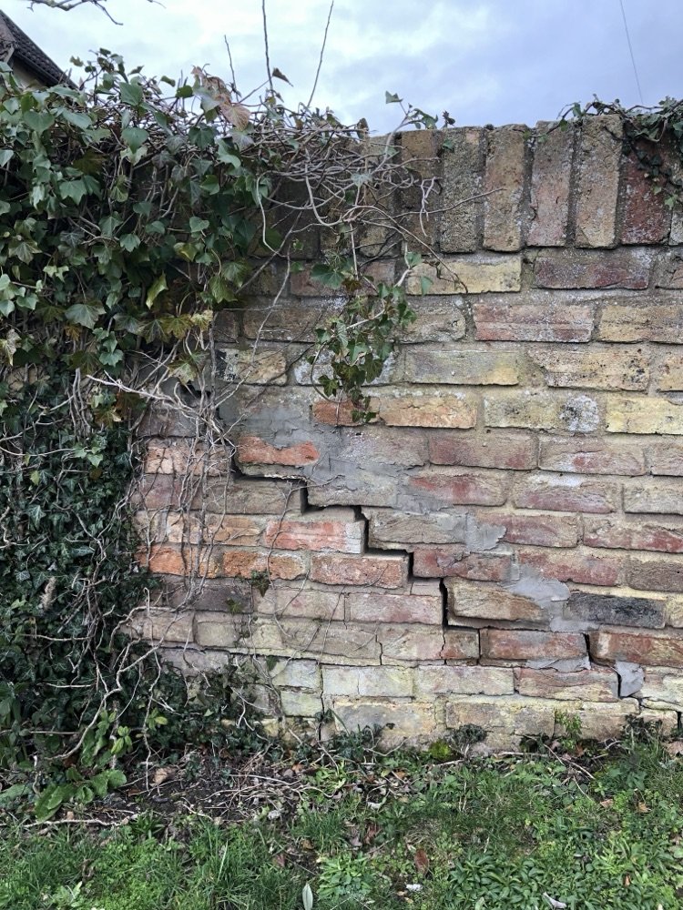 Old brick garden wall topped with ivy and patched with pale grey cement repairs