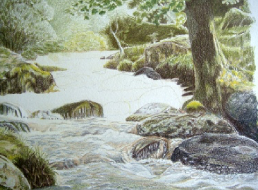 Daryl's stream drawing with all the paper covered: mossy rocks, a tree trunk and pale, lightly worked water