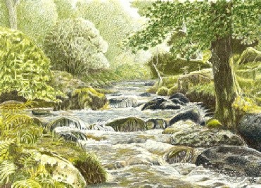 Daryl Cogavin's finished coloured pencil painting of a rocky stream under trees, the tree on the right reworked with lighter patches