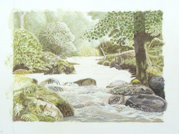 Daryl's coloured pencil stream with the trees and rocks complete and the first marks going into the white water