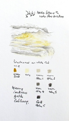 Peter's pencil sketch of tumbling water in warm greys and green gold, with a swatch of seven Polychromos colours labelled underneath