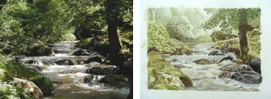 Peter's comparison: Daryl's reference photo of the stream on the left, her paler drawing so far on the right