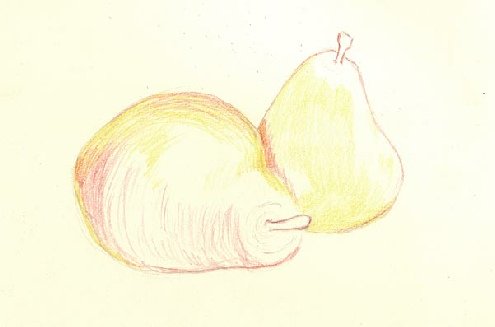 Two pears with their first light dry layers of yellow and red watercolour pencil, highlights left white and stalks filled in