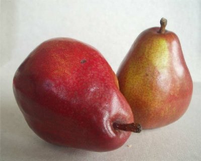 Reference photo of two ripe pears leaning together, one red and one a mix of red and greenish-yellow, with soft highlights