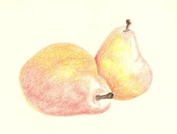 The pears with a second dry layer of red and yellow, more saturated, with deeper colour building in the shadow areas