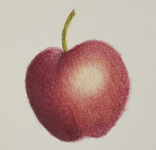 Realistic red apple drawn with Bruynzeel Design coloured pencils