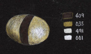Cream sweet wrapper colour sequence swatched on black paper