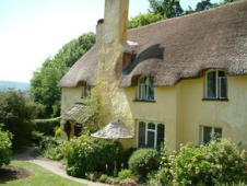 Thatched cottage roof showing the grain of the fibres