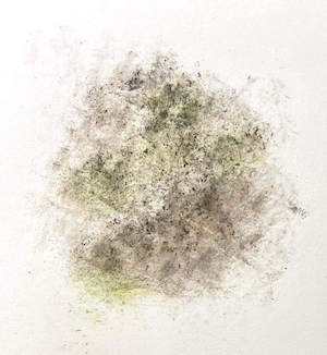 dry watercolour pencil detail added over a rock texture after the shavings dried