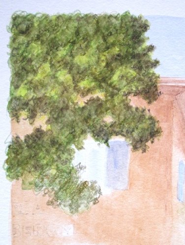 Adding water to dry watercolour pencil foliage with a damp brush
